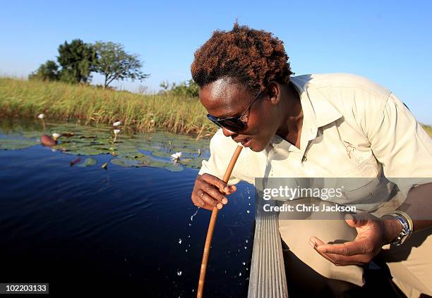 Guide sucks water up through a lily stem during a tour through the Okavango Delta from Jao Luxury Safari Camp on June 18, 2010 in Maun, Botswana....