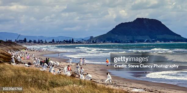 volunteers cleaning beach. - oil slick stock-fotos und bilder