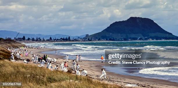 volunteers cleaning beach. - tauranga stock pictures, royalty-free photos & images