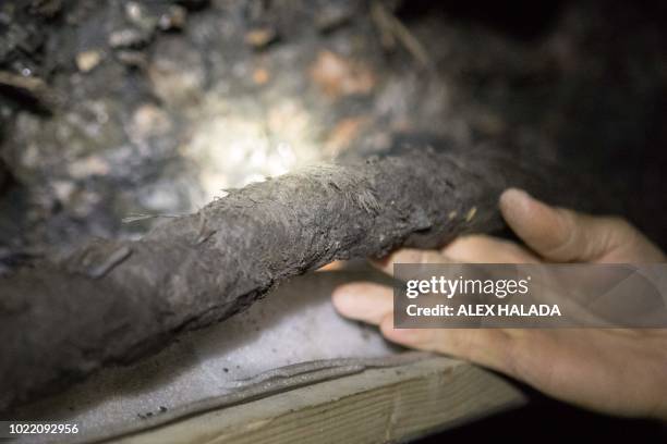 Prehostiroc Rope 65 Hallstatt Museum Stock Photos, High-Res Pictures, and Images - Getty ...