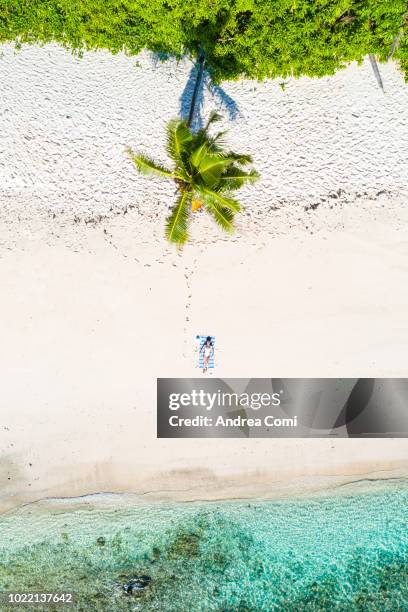 aerial view of a woman relaxing on the beach - wonderlust stock pictures, royalty-free photos & images