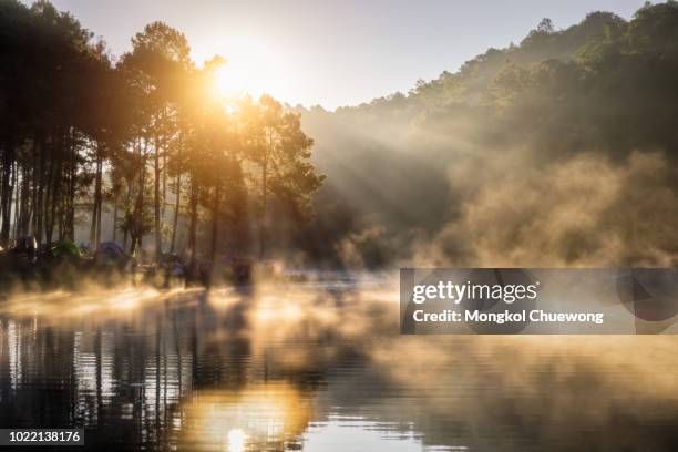 camping and tent under the pine forest in sunrise at pang ung pine forest park, pang ung mae hong son near chiang mai, thailand - fog city stock pictures, royalty-free photos & images