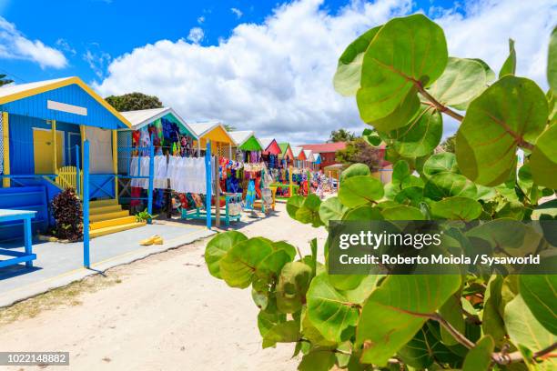 multi colored wood cottages and tourist souvenir shops, long bay beach, antigua - antigua and barbuda stock pictures, royalty-free photos & images