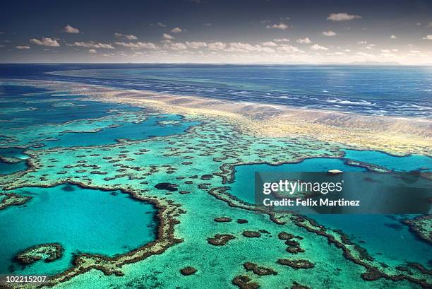 australia - great barrier reef - reef fotografías e imágenes de stock