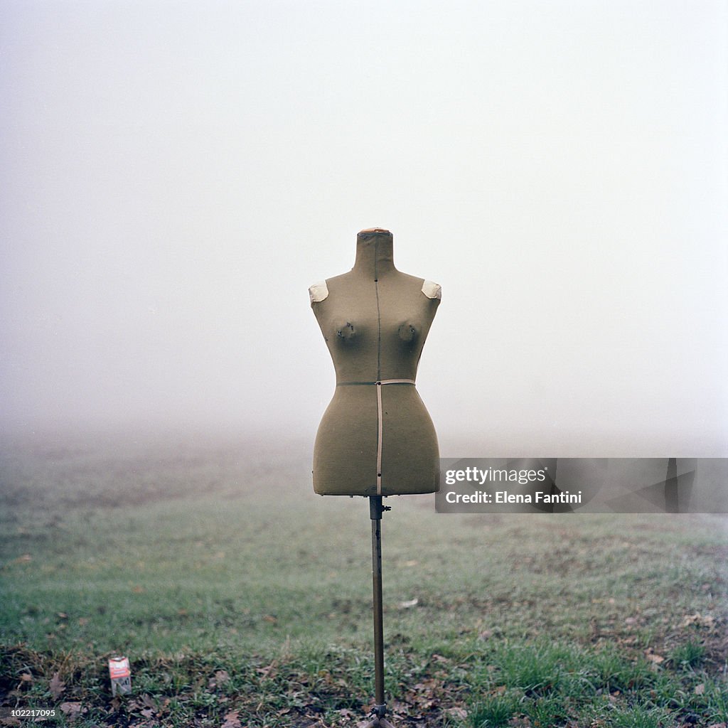 Mannequin in a foggy landscape