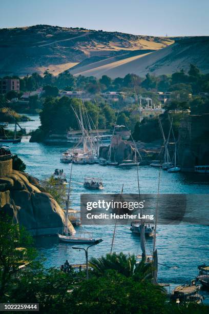 aswan nile view - nile river stock-fotos und bilder