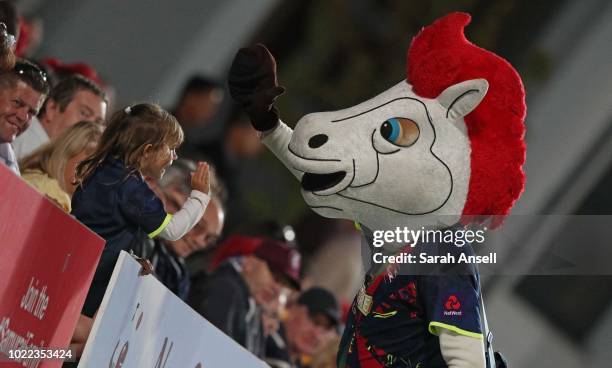 Victa the Kent Spitfires mascot high fives a young fan during the Vitality Blast Quarter-Final match between Kent Spitfires and Lancashire Lightning...
