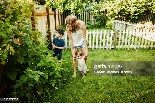mother helping son pick raspberries in backyard on summer morning - cloture maison photos et images de collection