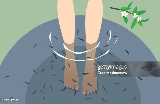 doctor fish - fish spa stock illustrations