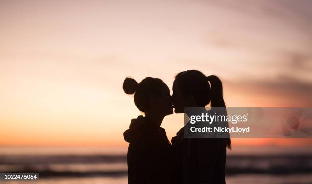 silhouette of two lovers standing face to face - images of lesbians kissing stock pictures, royalty-free photos & images