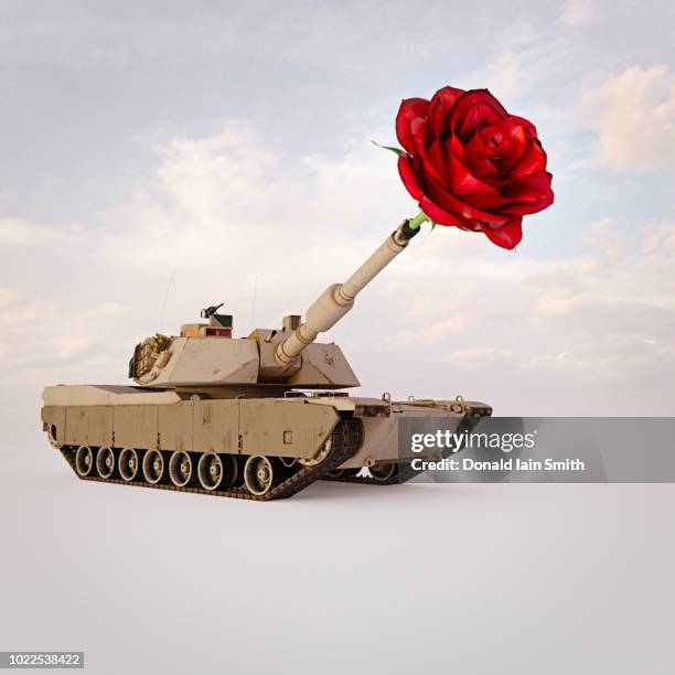 Tank Shooting Roses Cannon Barrel Photos and Premium High Res Pictures - Getty Images