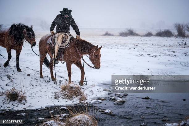 cowboy op paard overschrijding van een kreek in winter sneeuwstorm - alleen één man stockfoto's en -beelden