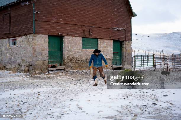 cowboy pulls christmas tree through snow - straw dogs stock pictures, royalty-free photos & images