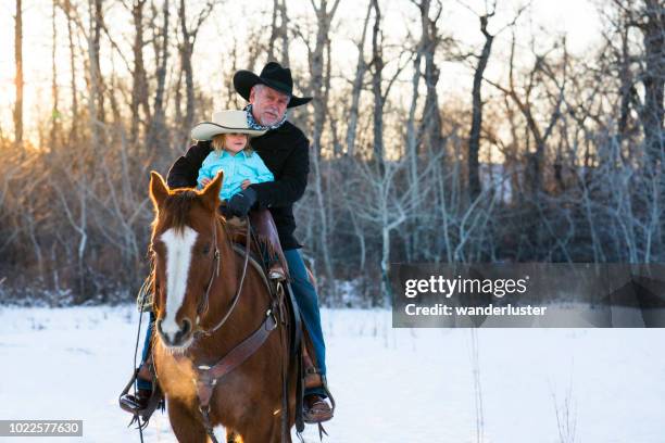 man en jonge kleindochter paardrijden in de winter - grandfather child snow winter stockfoto's en -beelden