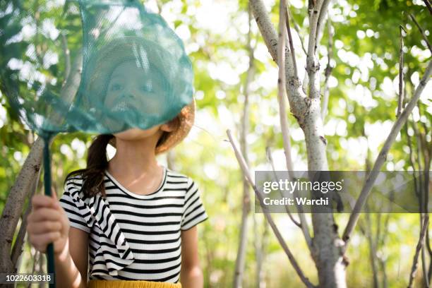 little girl in the woods playing with a butterfly net - catching bugs stock pictures, royalty-free photos & images