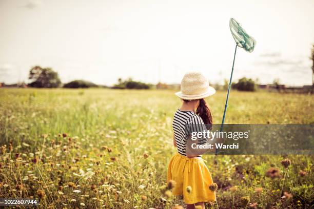 best place to chase butterflies is a field full with wild flowers - chasing butterflies stock pictures, royalty-free photos & images