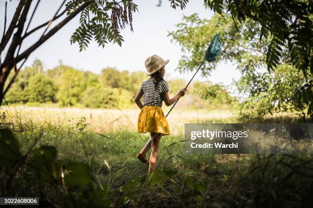 running nach schmetterlinge - butterfly net stock-fotos und bilder