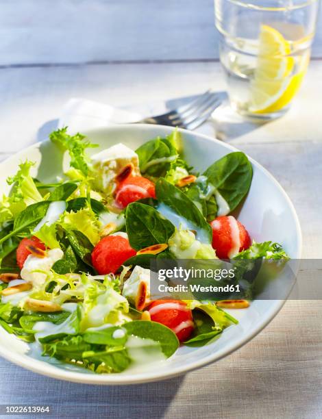 mixed salad with water melon and roasted pine nuts - salatdressing stock-fotos und bilder