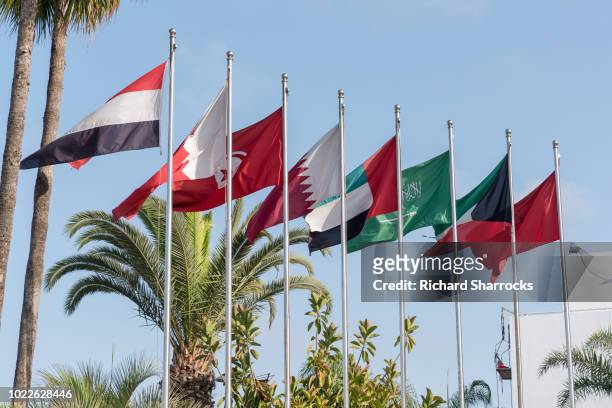 mena middle east and north africa flags - gulf countries stock-fotos und bilder