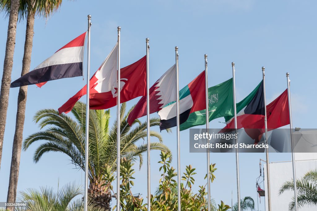 MENA Middle East and North Africa flags