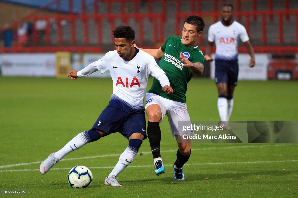 Tottenham Hotspur v Brighton & Hove Albion - Premier League 2
