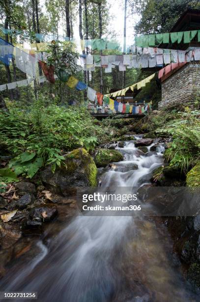 landscape of smalll creek with prayer flag on the way to tiger nest (taktsang)monastery paro bhutan - paro stock pictures, royalty-free photos & images