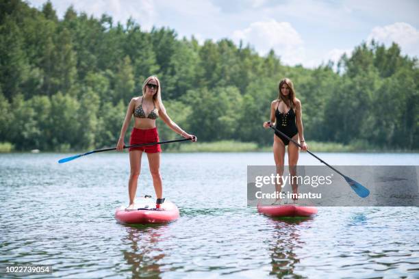 recreation with stand up paddle boards near the lake shore - standup paddleboarding stock pictures, royalty-free photos & images