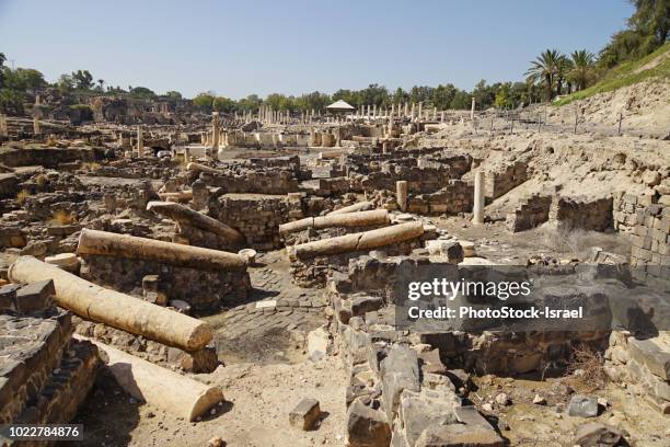 israel, bet shean ruins - archaeology excavation stock pictures, royalty-free photos & images