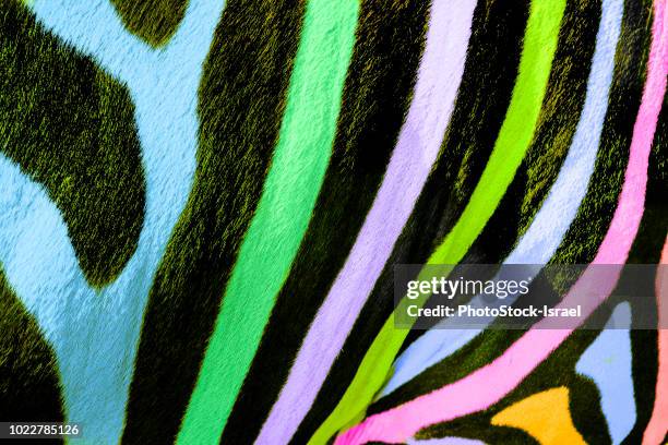 40,315 Zebra Color Stock Photos, High-Res Pictures, and Images - Getty ...
