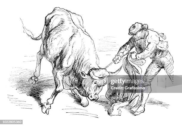 bullfighter about killing the bull in bullring spain - bull fighting stock illustrations