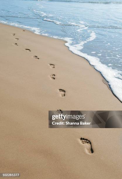 footprints leading into the water on a beach - huellas fotografías e imágenes de stock