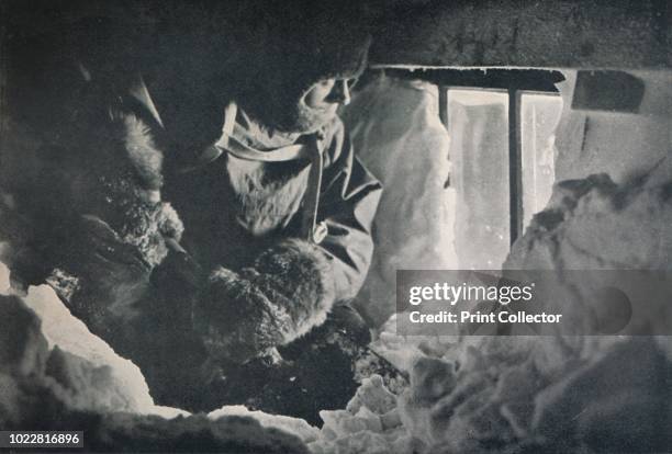 Clearing Drift from Window of Hut at Cape Adare', circa 1911, . The final expedition of British Antarctic explorer Captain Robert Falcon Scott left...