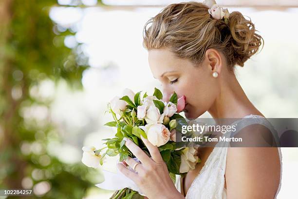 bride smelling bouquet - bride bouquet stock pictures, royalty-free photos & images