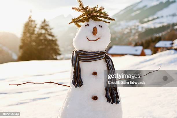 schneemann in schnee field - snowman stock-fotos und bilder