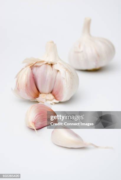 garlic bulbs and cloves - garlic clove stock pictures, royalty-free photos & images