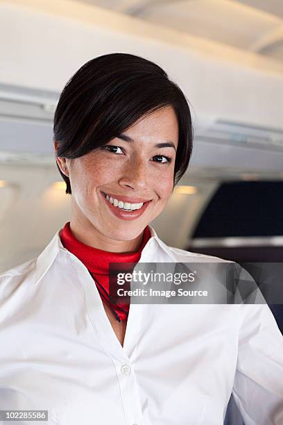 portrait of an air stewardess - neckerchief stock pictures, royalty-free photos & images