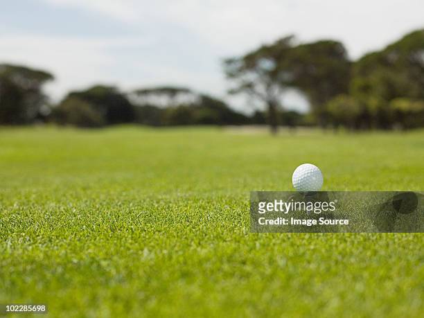 golf ball on golf course, close up - golf tee stock pictures, royalty-free photos & images
