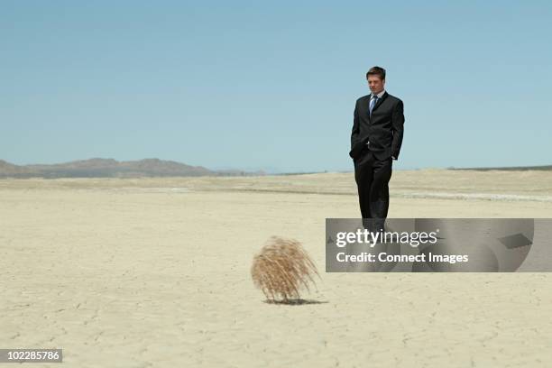 businessman in desert with tumbleweed - tumbleweed stock pictures, royalty-free photos & images