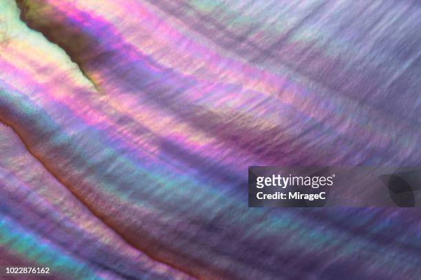 colorful pearl shell macrophotography - iridescent stockfoto's en -beelden