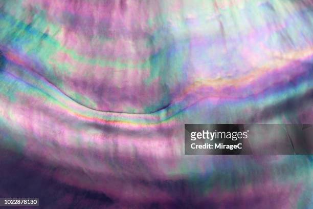 285 Mother Of Pearl Background Photos and Premium High Res Pictures - Getty  Images