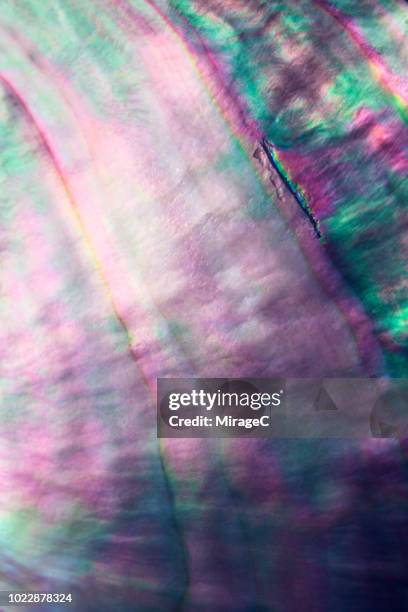 colorful pearl shell macrophotography - mother of pearl stock pictures, royalty-free photos & images