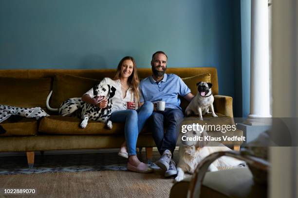 happy couple sitting in sofa with their 3 dogs - couple sofa stock pictures, royalty-free photos & images