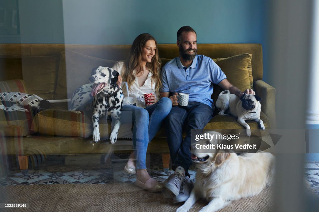 Happy couple sitting in sofa with their 3 dogs