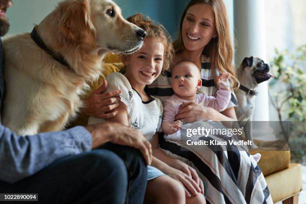 family sitting together in sofa with their dogs - baby hund innenaufnahme stock-fotos und bilder