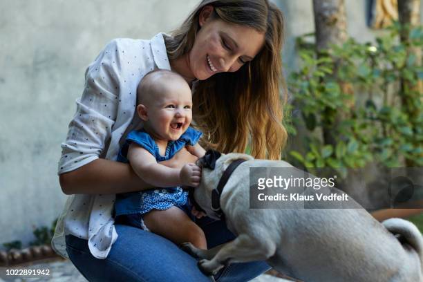 mother and new born baby playing with puck dog - baby blue stock pictures, royalty-free photos & images