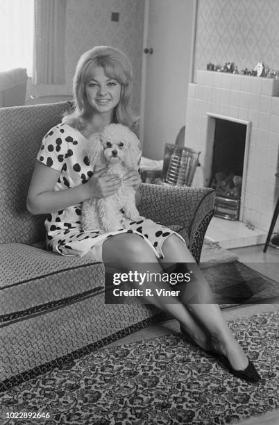 Welsh model and showgirl Mandy Rice-Davies , currently involved in the Stephen Ward court case and Profumo Affair, pictured seated on a sofa with a...