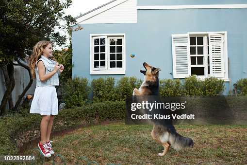 Cute girl playing ball with her dog Cute girl playing ball with her dog