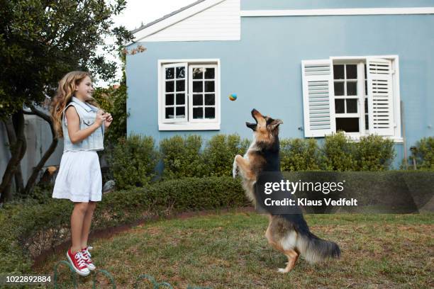 cute girl playing ball with her dog - alsation stock pictures, royalty-free photos & images