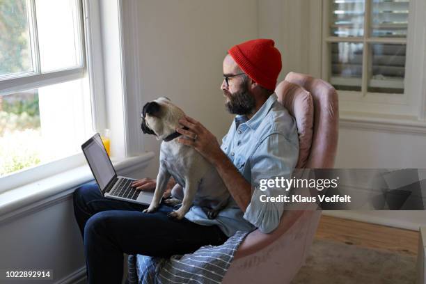 man sitting with laptop together with puck dog - internet dog stock pictures, royalty-free photos & images