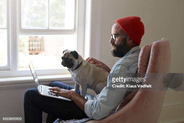 man sitting with laptop together with puck dog - ミレニアル世代 ストックフォトと画像